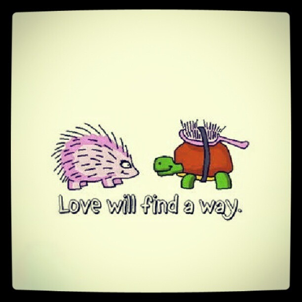 love-will-find-a-way.png
