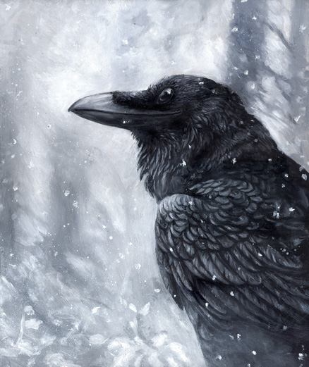 Winter_Raven_by_kenket.jpg