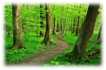 Dirt-Road.jpg