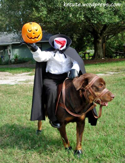 headless-horseman.jpg headless-horseman.jpg