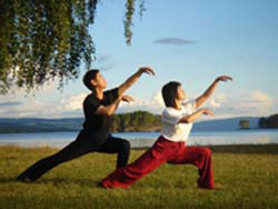 taiji-sheng-gong-1.jpg