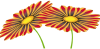 flower3_png